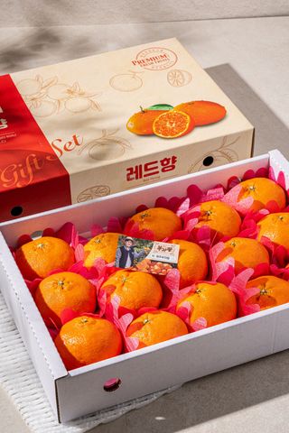 제주부자팜님의 자유주제 · 자유게시판 작성글 사진