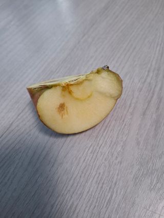 초보굴백이님의 자유주제 · 자유게시판 작성글 사진