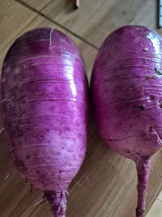 귤19190님의 작성글 사진