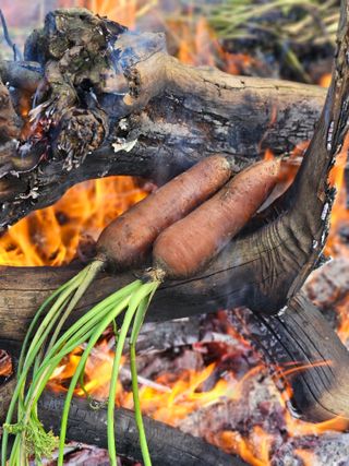 평대돌담농장님의 자유주제 · 자유게시판 작성글 사진