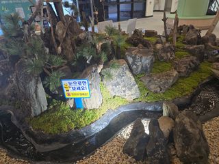 장관덕님의 자유주제 · 자유게시판 작성글 사진