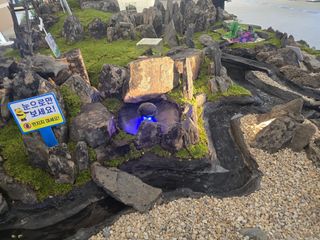 장관덕님의 자유주제 · 자유게시판 작성글 사진