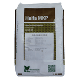 팜모닝 · 게시글 이미지