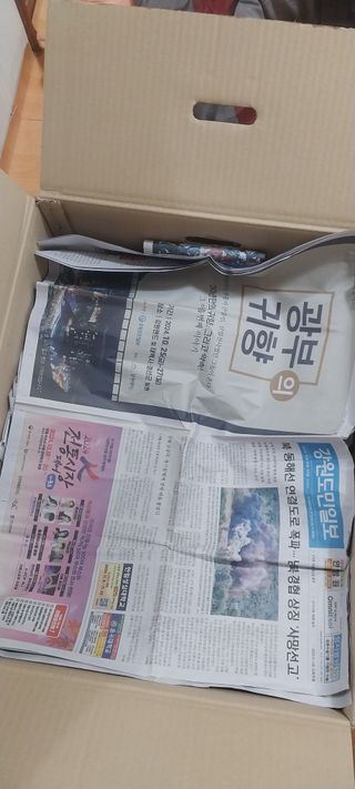 낙엽교목류15665님의 자유주제 · 자유게시판 작성글 사진