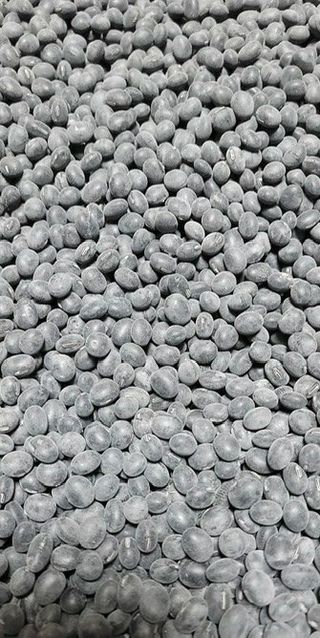 사모님님의 콩 · 자유게시판 작성글 사진