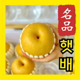 팜모닝 · 게시글 이미지