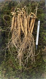 팜모닝 · 게시글 이미지