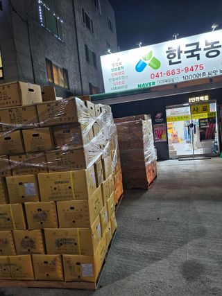 대산농사대장님의 감자 · 자유게시판 작성글 사진