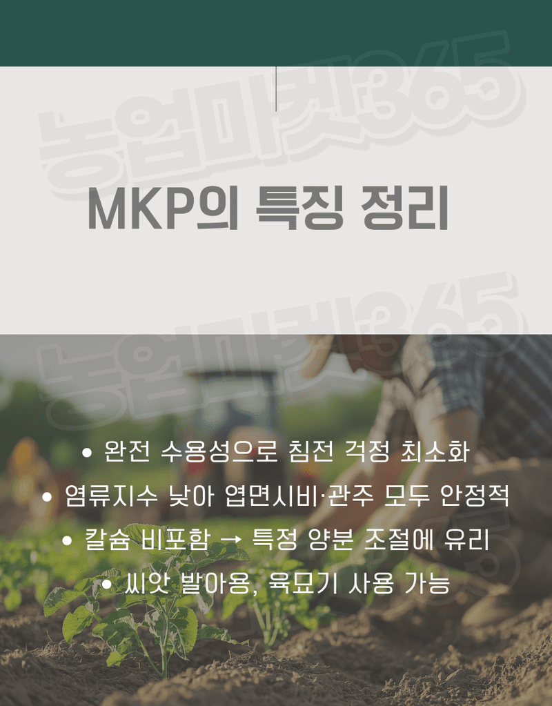 농업마켓365님의 장터 판매 상품 [MKP 제1인산칼륨 25KG P52 K34 고인산 고칼륨 수용성 비료 착과용 비대용] 첨부 사진