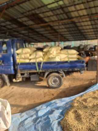 심상진님의 작성글 사진