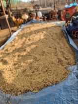 팜모닝 · 게시글 이미지