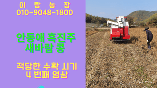 (이랑농장)김재한님의 작성글 사진