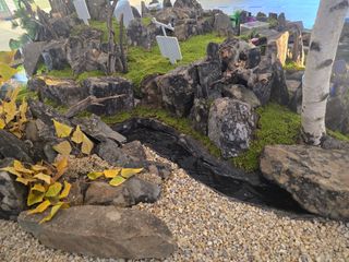 장관덕님의 자유주제 · 자유게시판 작성글 사진