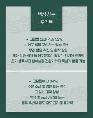 농업마켓365님의 작성글 사진