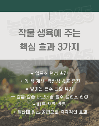 농업마켓365님의 작성글 사진