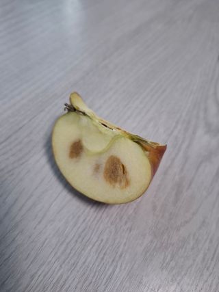 초보굴백이님의 자유주제 · 자유게시판 작성글 사진