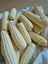 팜모닝 · 게시글 이미지