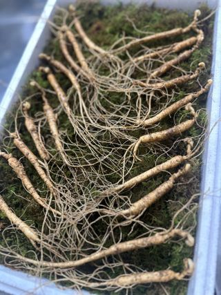 진상빈님의 작성글 사진