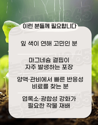 농업마켓365님의 작성글 사진