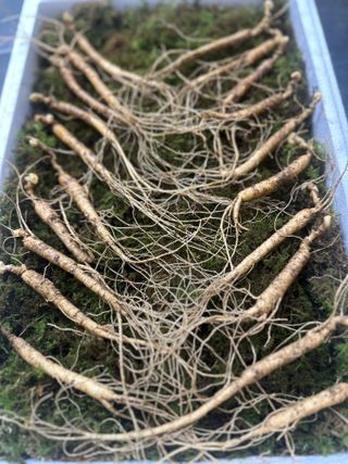 진상빈님의 작성글 사진