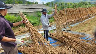 (이랑농장)김재한님의 작성글 사진