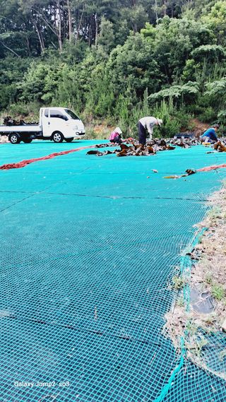 김광국님의 자유주제 · 자유게시판 작성글 사진