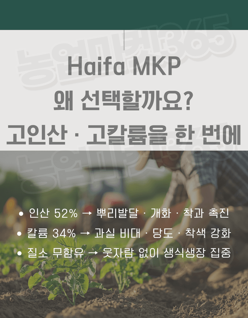 농업마켓365님의 장터 판매 상품 [하이파 MKP 인산칼륨 25kg 52-34 양액용 수용성비료 고인산 비대용 가리비료] 첨부 사진