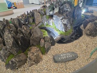 장관덕님의 자유주제 · 자유게시판 작성글 사진