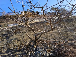 김용대님의 자유주제 · 자유게시판 작성글 사진