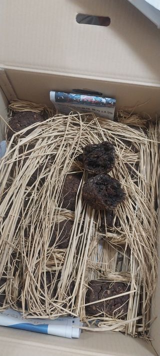 낙엽교목류15665님의 자유주제 · 자유게시판 작성글 사진