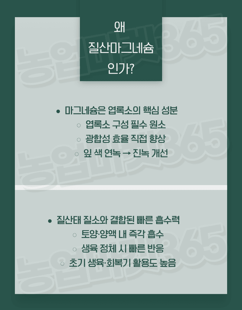 농업마켓365님의 장터 판매 상품 [질산마그네슘 수용성 비료 25kg 양액비료 관주비료 광합성 촉진] 첨부 사진