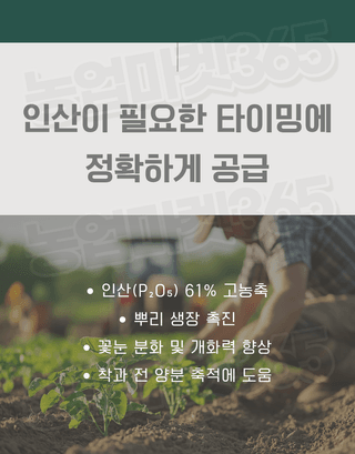 농업마켓365님의 작성글 사진