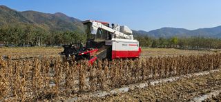 (이랑농장)김재한님의 작성글 사진