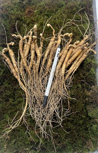 진상빈님의 작성글 사진