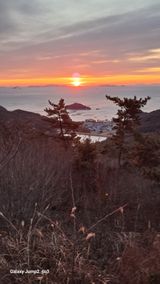 팜모닝 자유주제·자유게시판 게시글 이미지