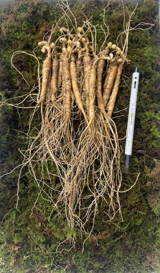 진상빈님의 작성글 사진