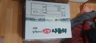 낙엽교목류15665님의 자유주제 · 자유게시판 작성글 사진