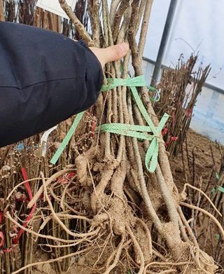 고사장님의 감자 · 자유게시판 작성글 사진