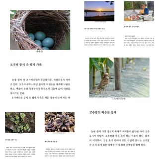 정진해님의 자유주제 · 자유게시판 작성글 사진