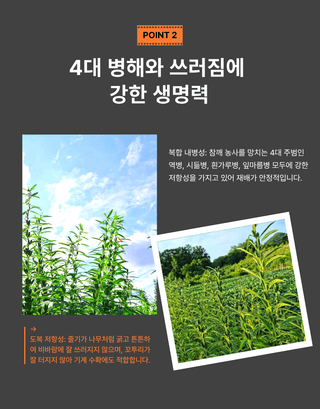 대산농사대장님의 작성글 사진