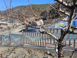 김용대님의 자유주제 · 자유게시판 작성글 사진