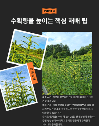 대산농사대장님의 작성글 사진