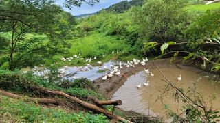 김영복님의 작성글 사진