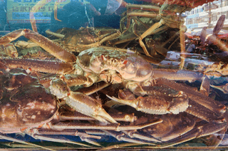 김태혁님의 작성글 사진