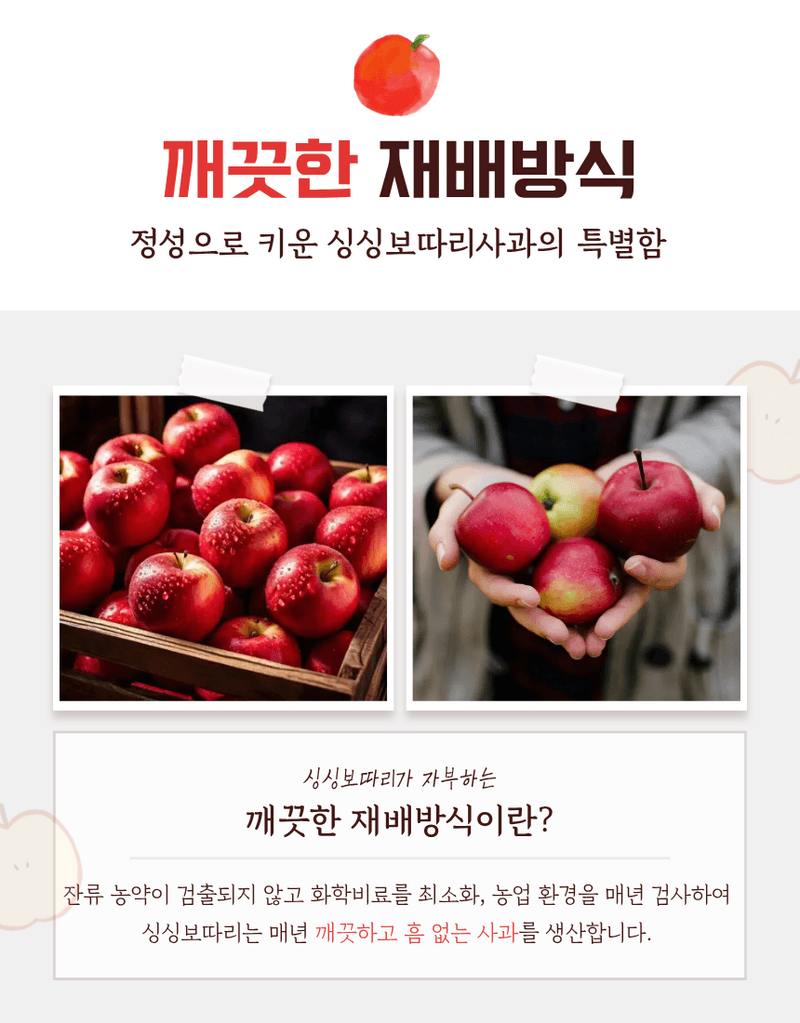 김태혁님의 장터 판매 상품 [부사 시나노골드 못난이사과 5kg] 첨부 사진