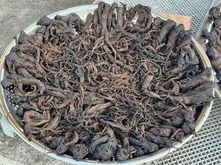 해촌(서정술)50님의 자유주제 · 자유게시판 작성글 사진