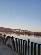 팜모닝 자유주제·자유게시판 게시글 이미지