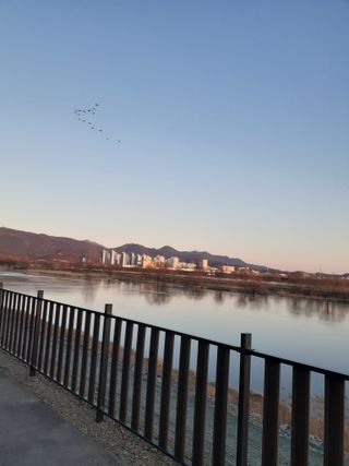 주흘산인님의 자유주제 · 자유게시판 작성글 사진