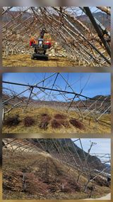 팜모닝 자유주제·자유게시판 게시글 이미지