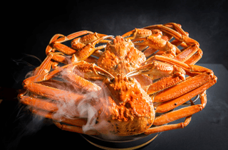 김태혁님의 작성글 사진